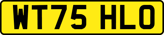WT75HLO