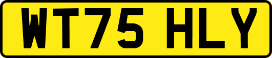 WT75HLY