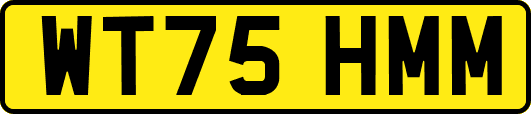 WT75HMM
