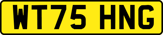 WT75HNG