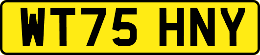 WT75HNY
