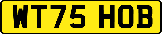 WT75HOB