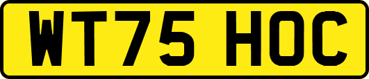 WT75HOC