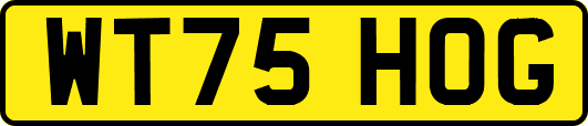 WT75HOG