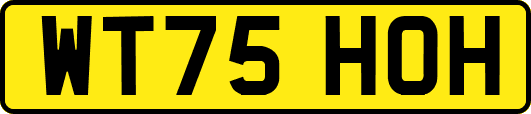 WT75HOH