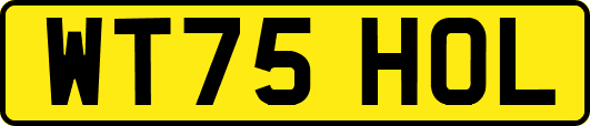 WT75HOL