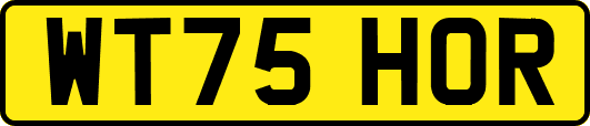 WT75HOR