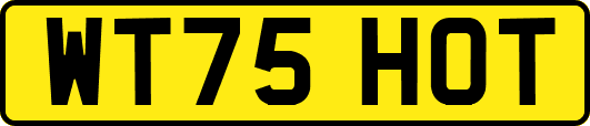 WT75HOT