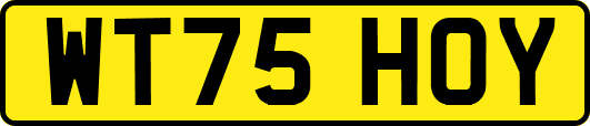 WT75HOY