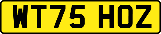 WT75HOZ