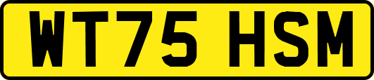 WT75HSM