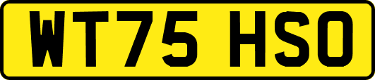 WT75HSO