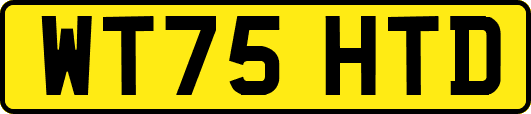 WT75HTD