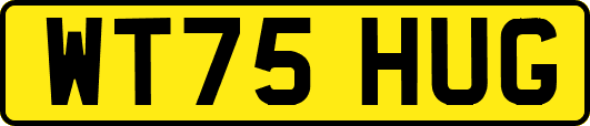 WT75HUG