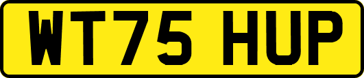 WT75HUP