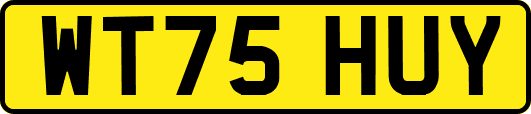WT75HUY