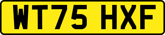 WT75HXF