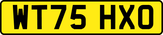 WT75HXO
