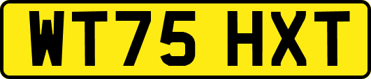 WT75HXT