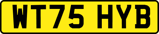 WT75HYB