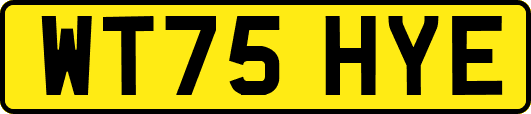 WT75HYE