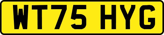 WT75HYG