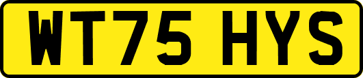 WT75HYS