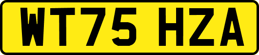 WT75HZA
