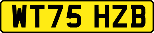 WT75HZB