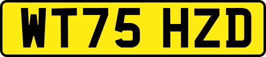 WT75HZD