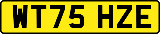 WT75HZE