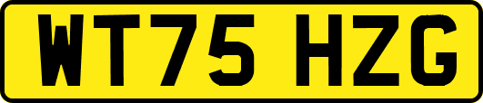 WT75HZG