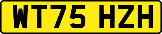 WT75HZH