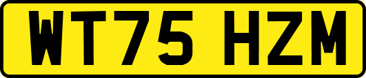WT75HZM