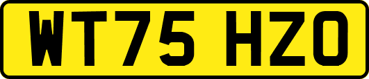 WT75HZO