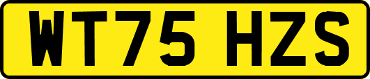 WT75HZS