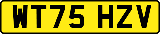 WT75HZV