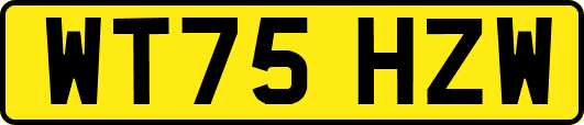 WT75HZW