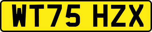 WT75HZX