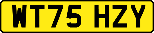 WT75HZY