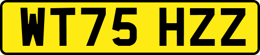 WT75HZZ