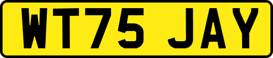 WT75JAY