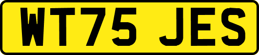 WT75JES