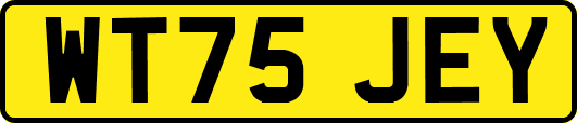 WT75JEY