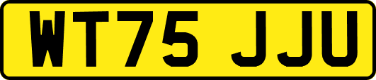 WT75JJU