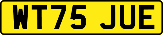 WT75JUE