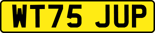 WT75JUP