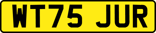 WT75JUR