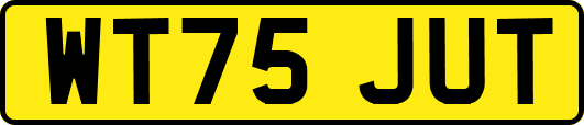WT75JUT