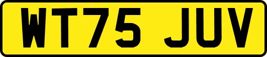 WT75JUV